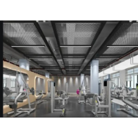 Carbon Steel Expanded Metal Mesh